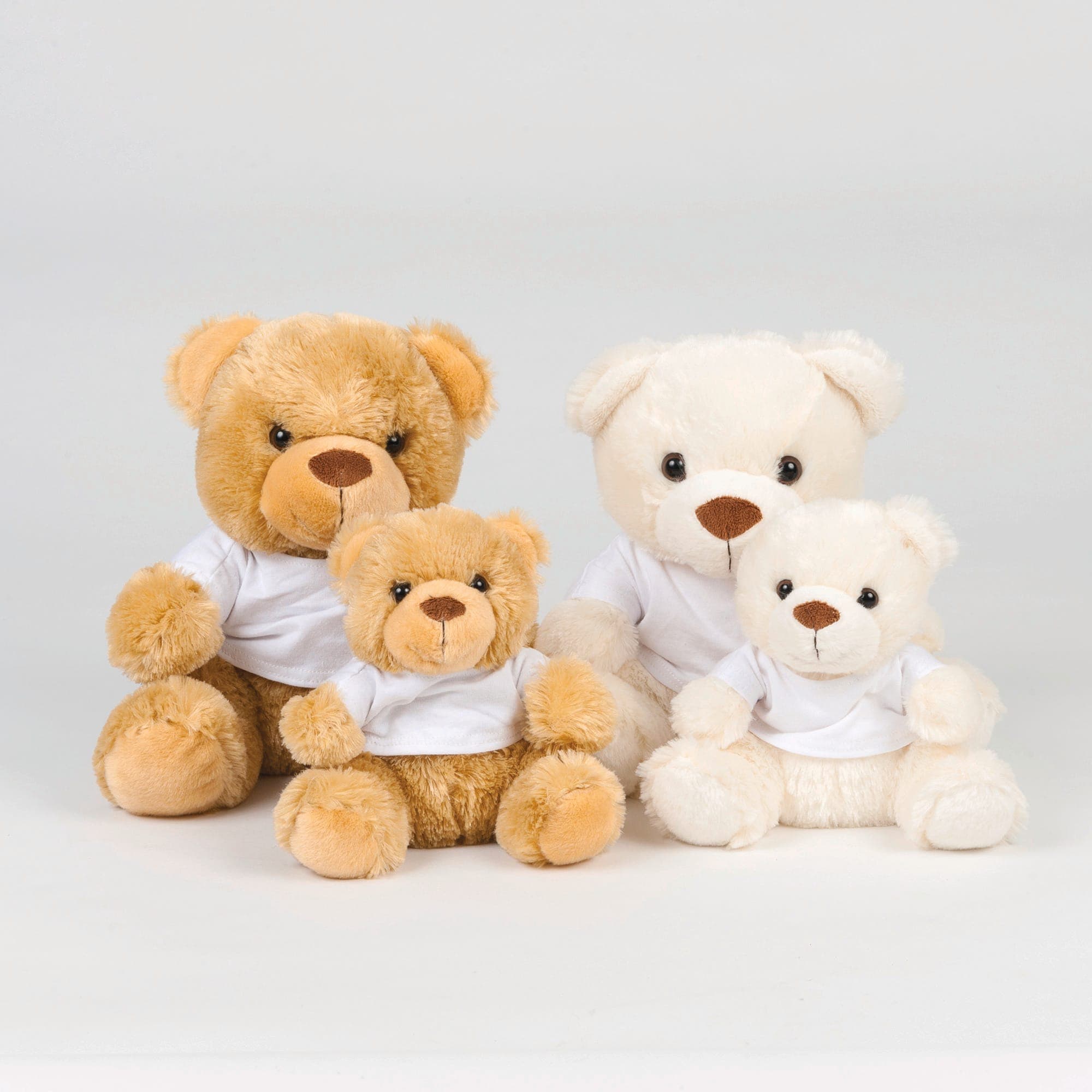 Ours en peluche avec t-shirt en situation
