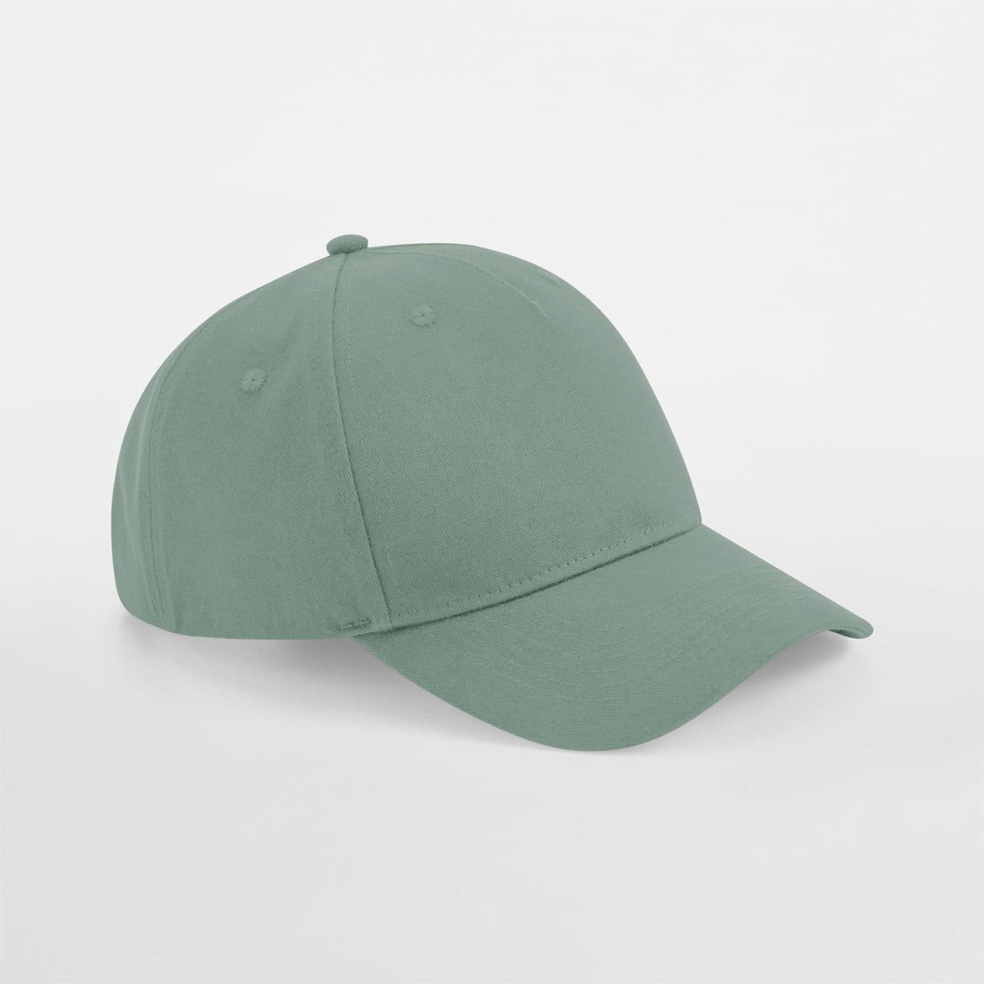 ORGANIC COTTON 5 PANEL CAP coloris Vert poudré