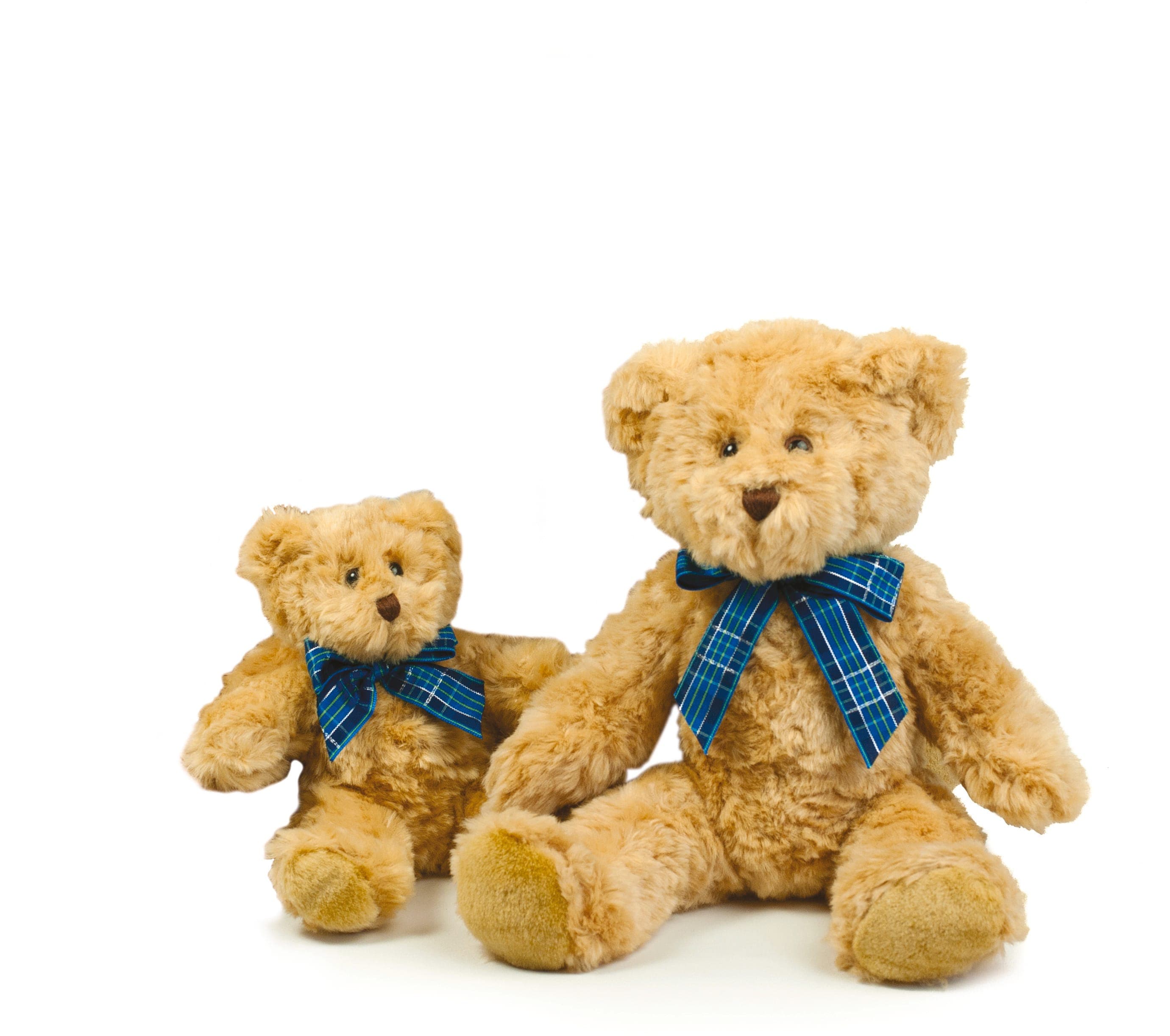 BRACKEN BEAR en situation