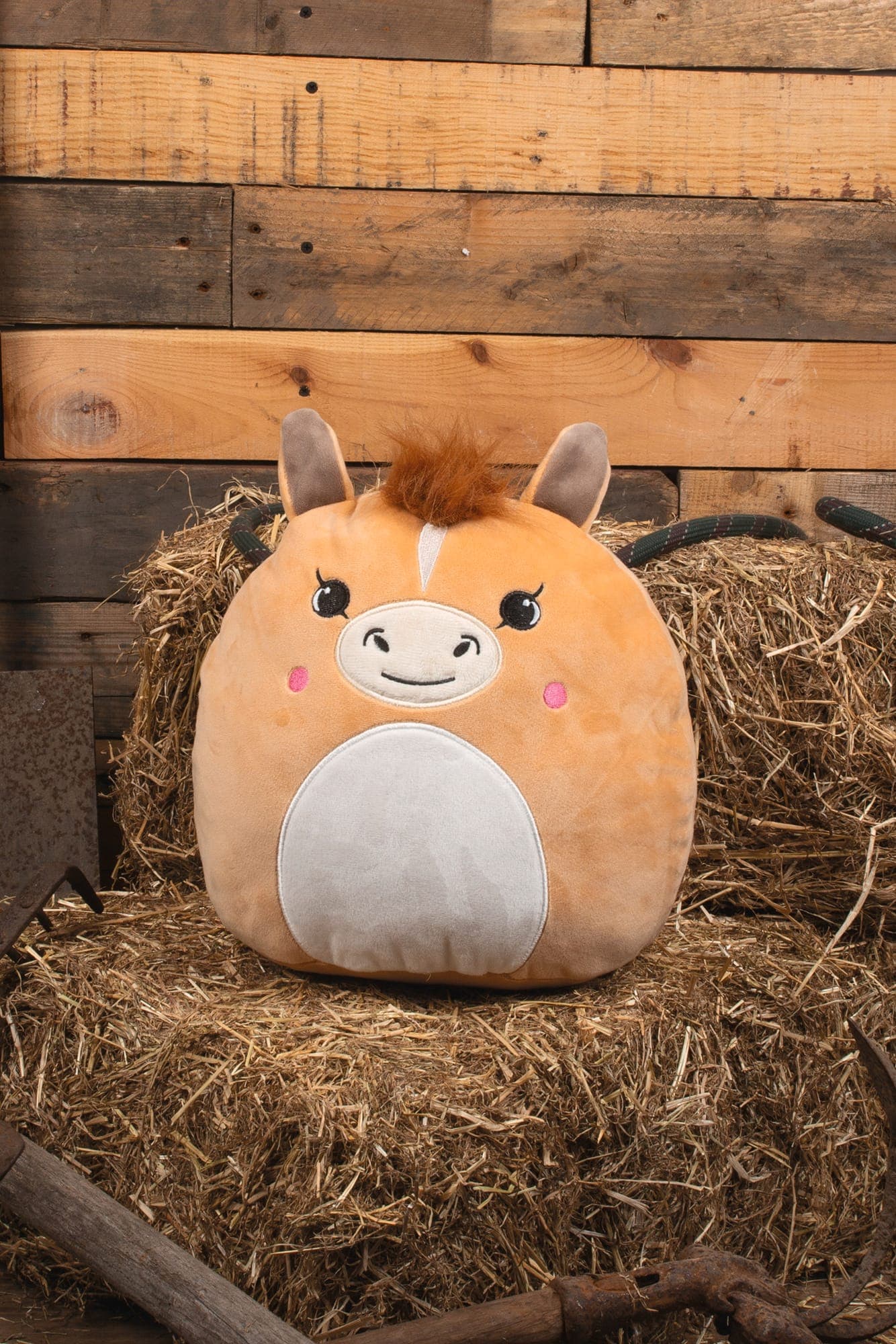 Peluches Squidgy's en situation