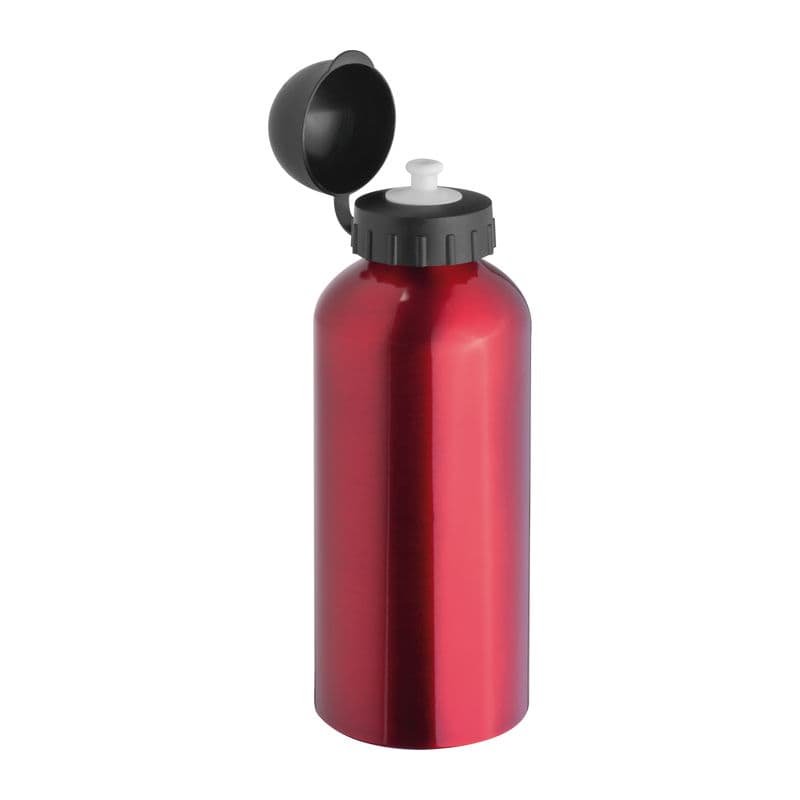Bouteille de boisson métal Charlotte 600 ml