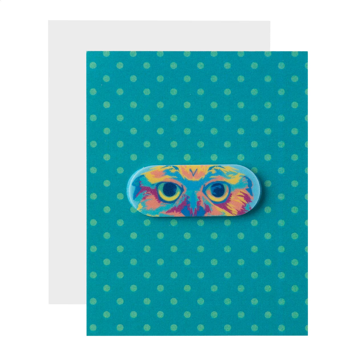Cache webcam