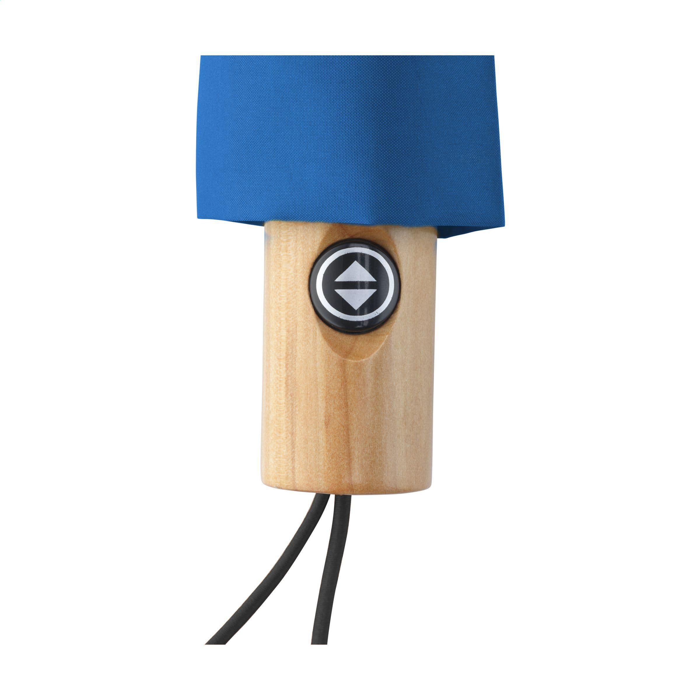 Parapluie pliable Michigan RCS RPET 21 inch en situation