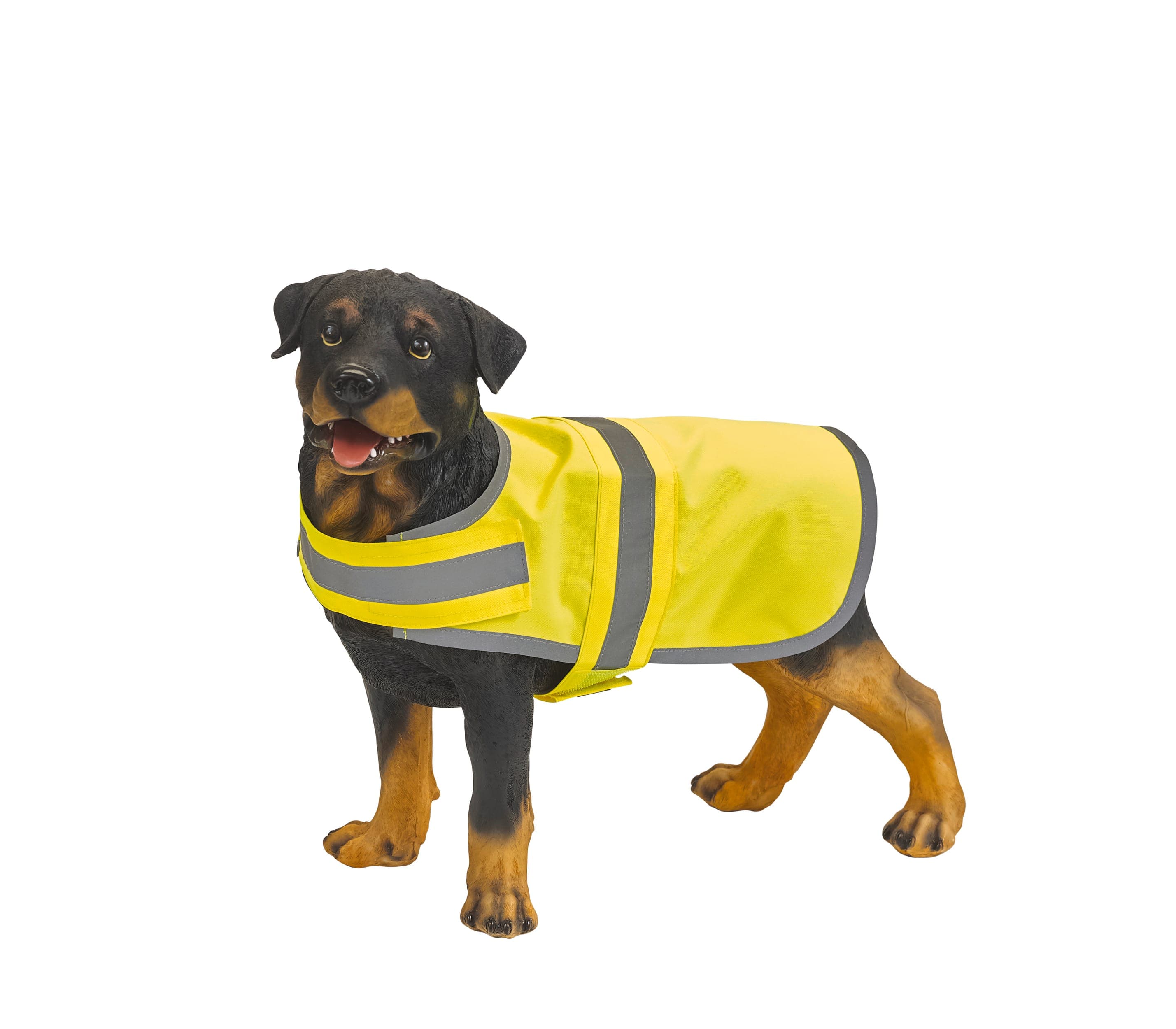Gilet réfléchissant pour chien en situation