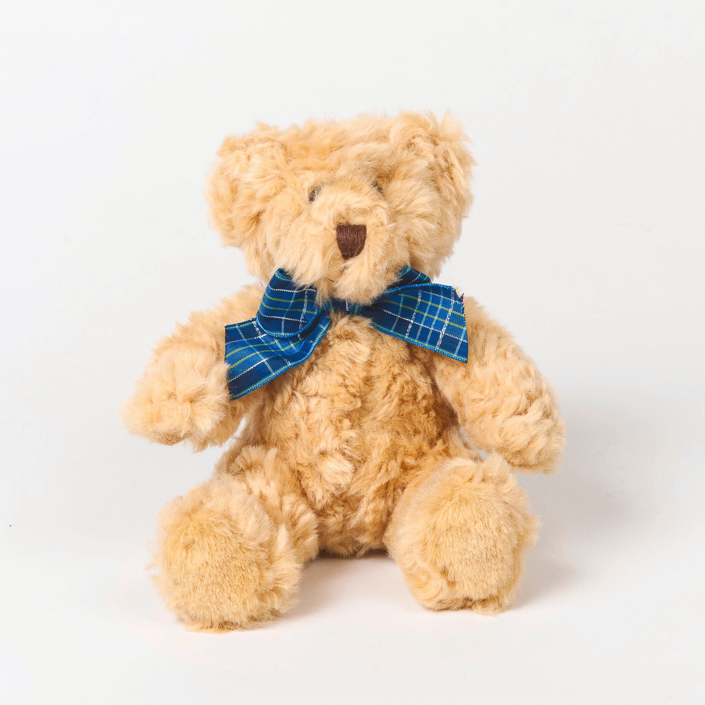 BRACKEN BEAR en situation