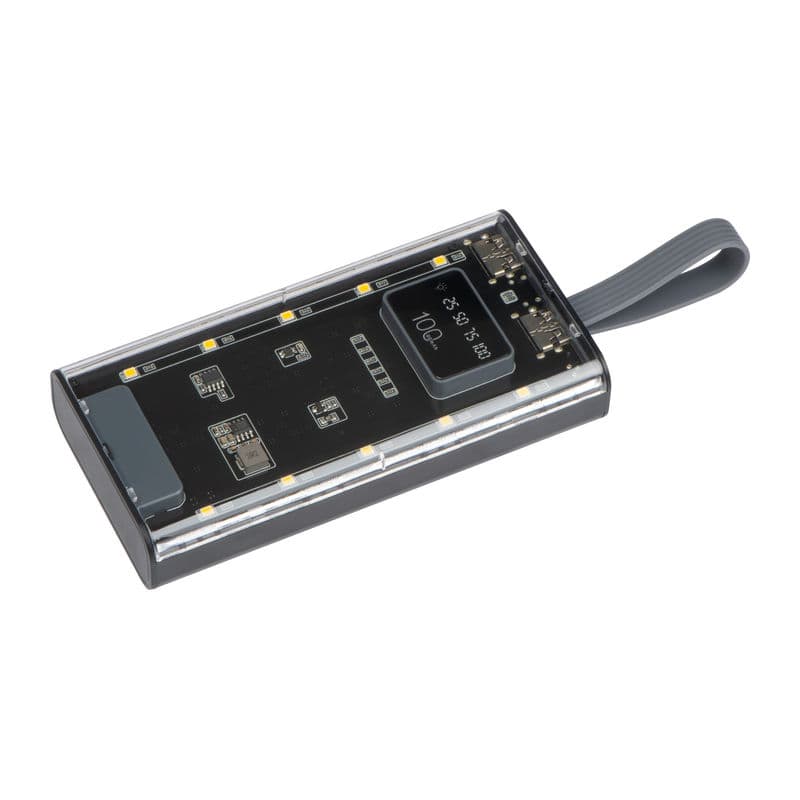 Batterie externe 10 000 mAh « Darwin »