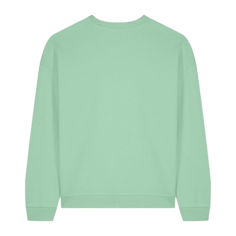 Radder 2.0 oversized sweatshirt coloris Jade brumeux