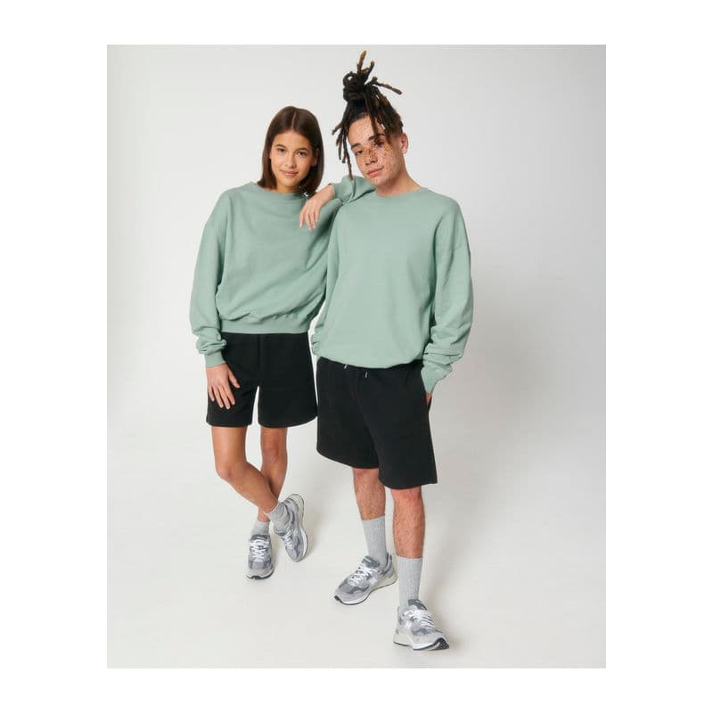 Ledger Dry unisex boxy sweatshirt coloris Vert aloe