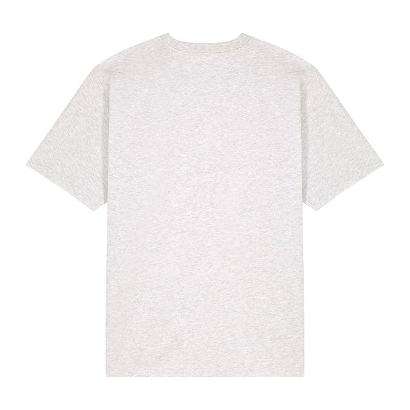 Freestyler unisex heavy weight t-shirt coloris Gris chiné froid