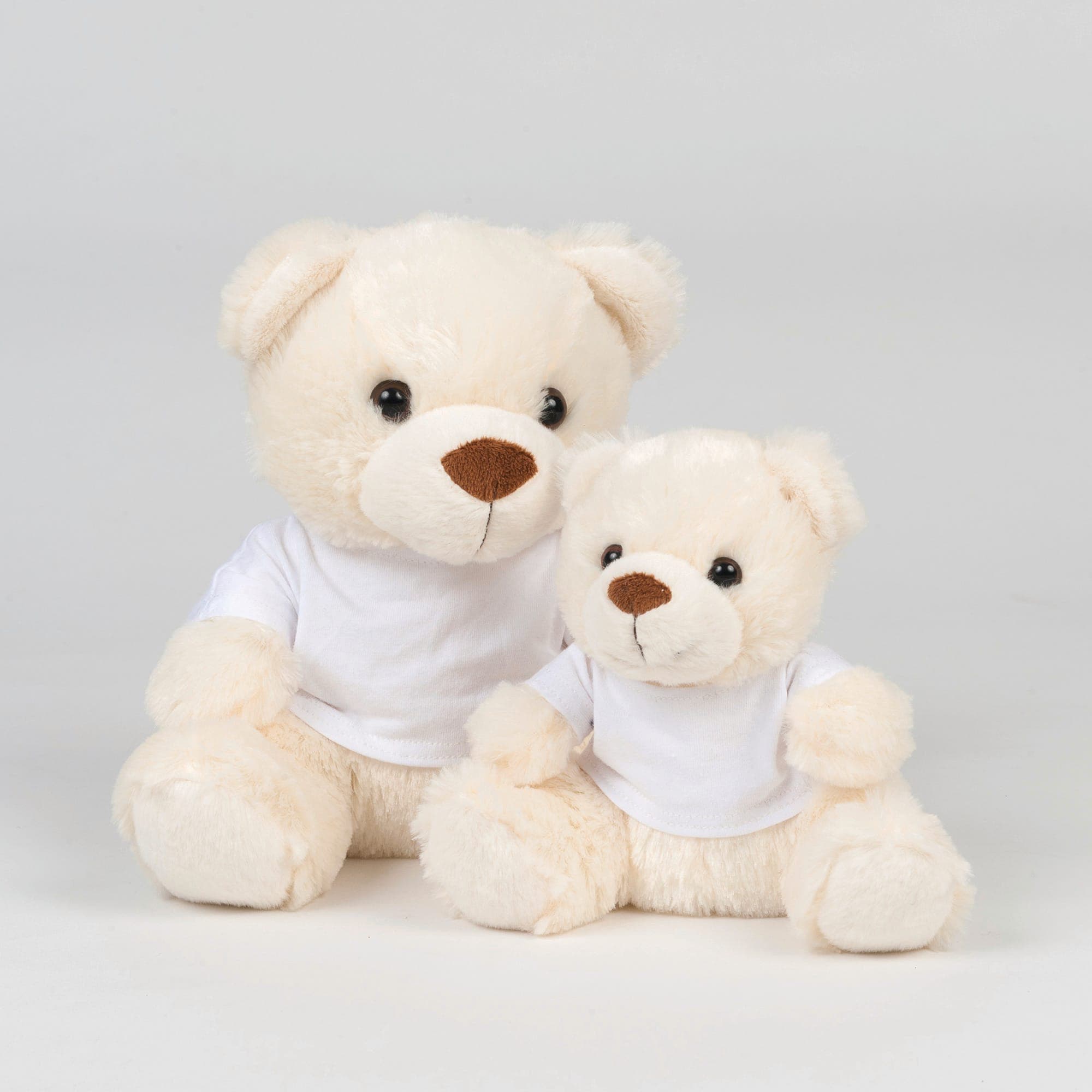 Ours en peluche avec t-shirt en situation