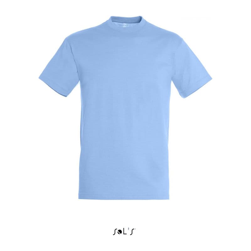 SOL'S REGENT UNISEX ROUND COLLAR T-SHIRT coloris Bleu ciel