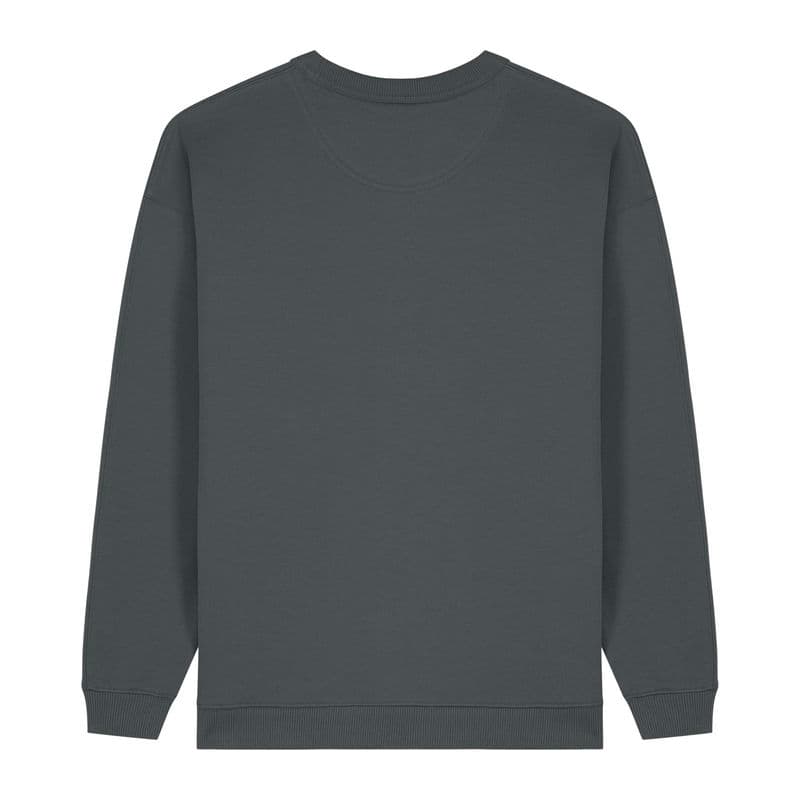 Stella Paloma oversized women's sweatshirt coloris Anthracite