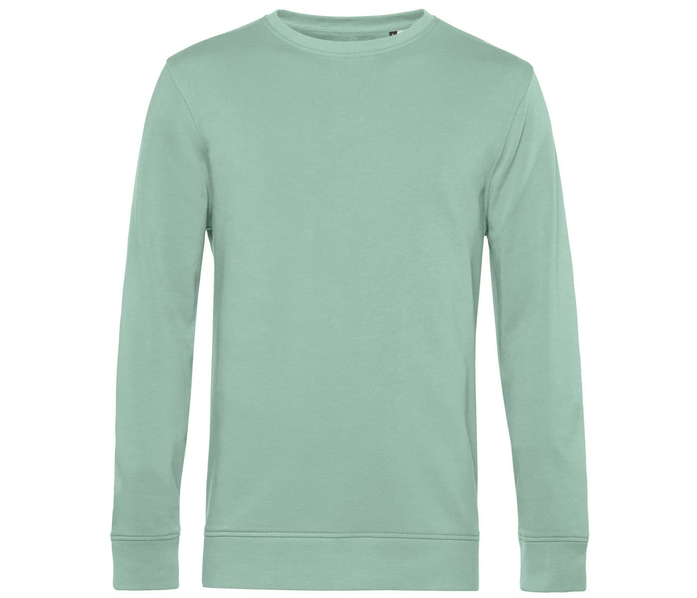 INSPIRE CREW NECK coloris Sauge