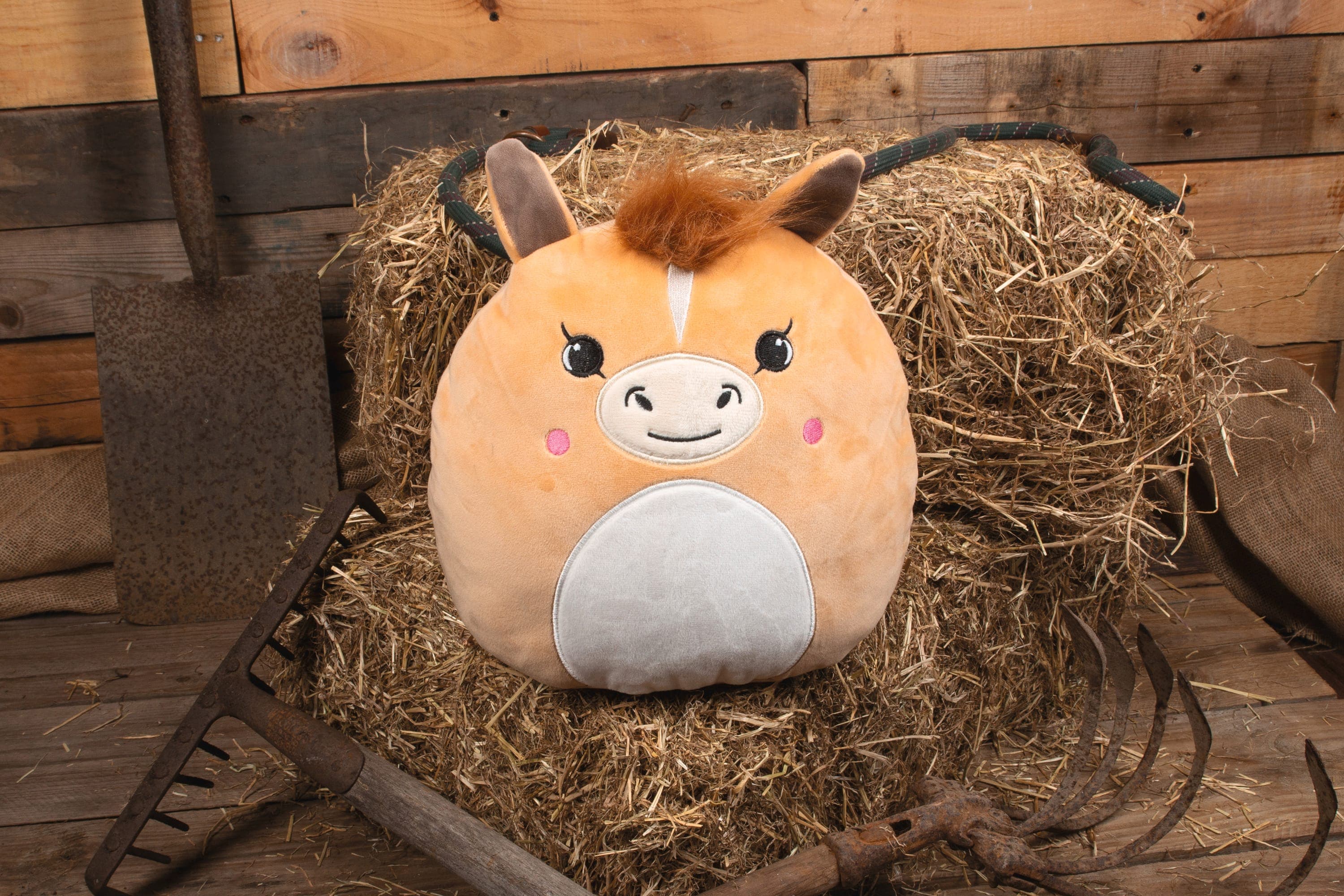 Peluches Squidgy's en situation