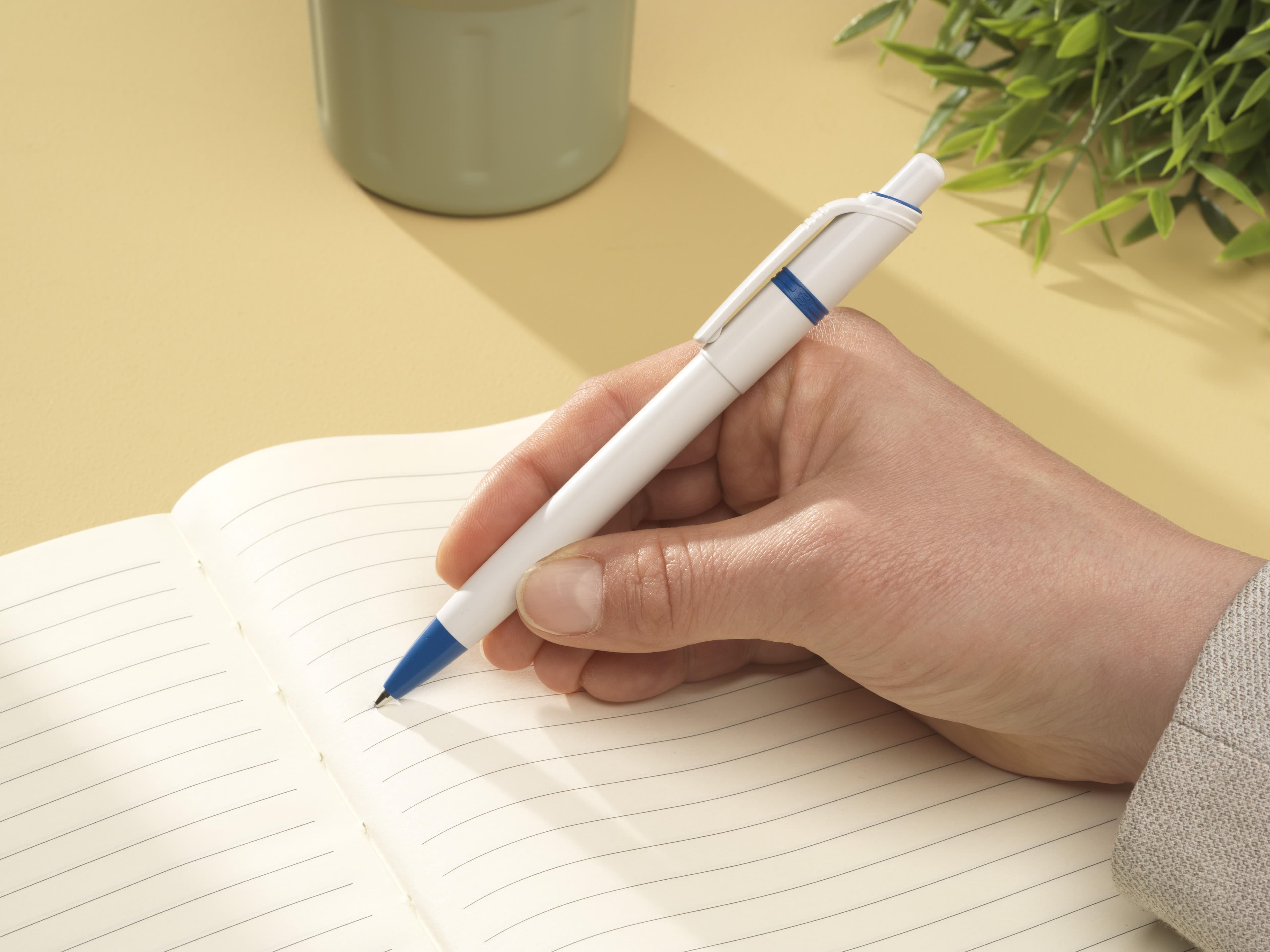 Stylo bille Stilolinea Ducal en situation