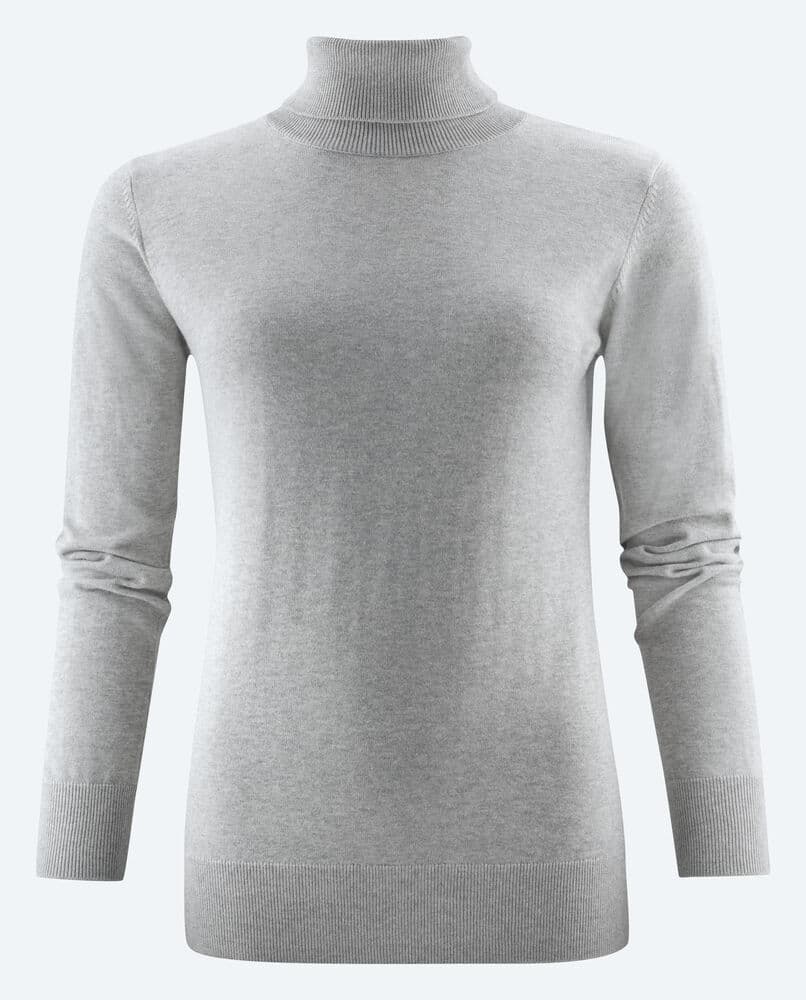 Pull Tricoté Col Roulé Ashland Femme