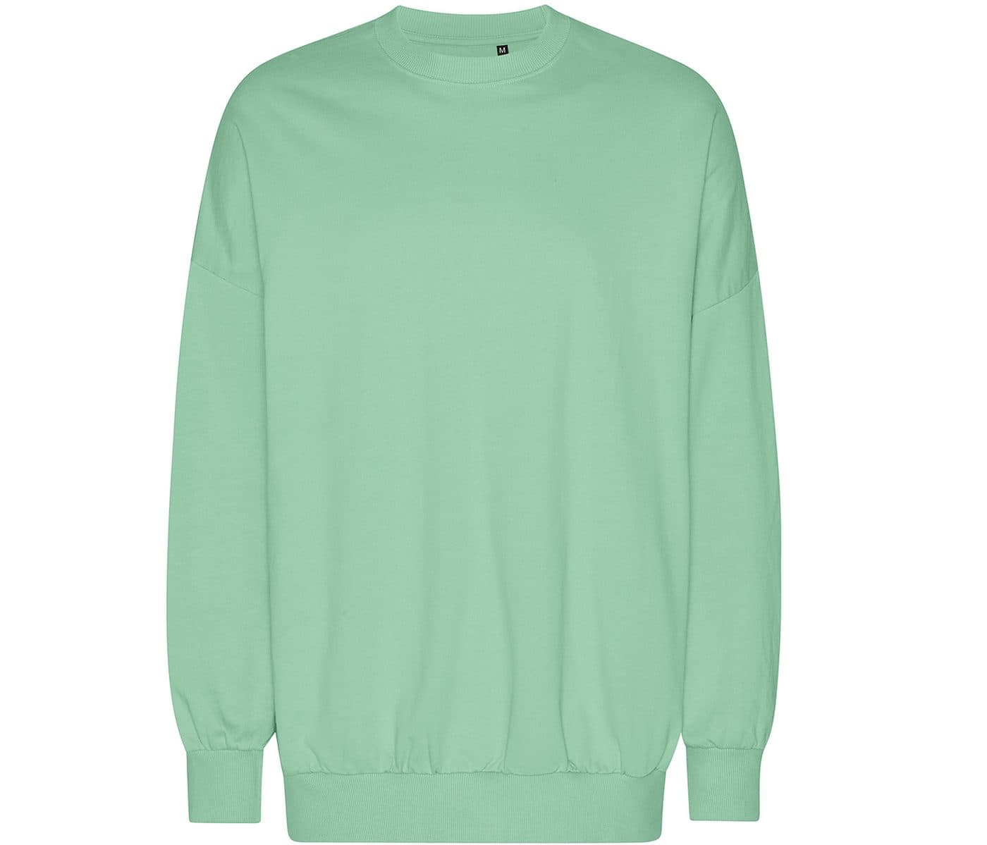 OVERSIZED SWEATSHIRT coloris Menthe poudré