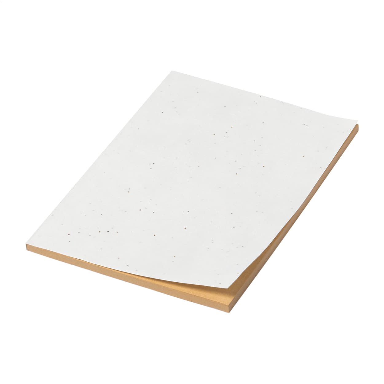 Cahier en papier graine