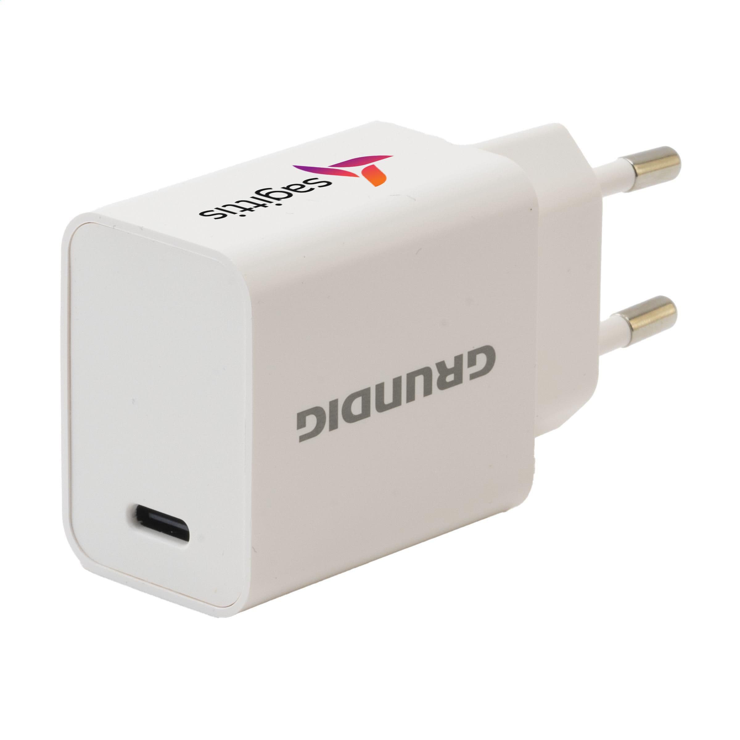 Fiche de charge Grundig 230V en situation