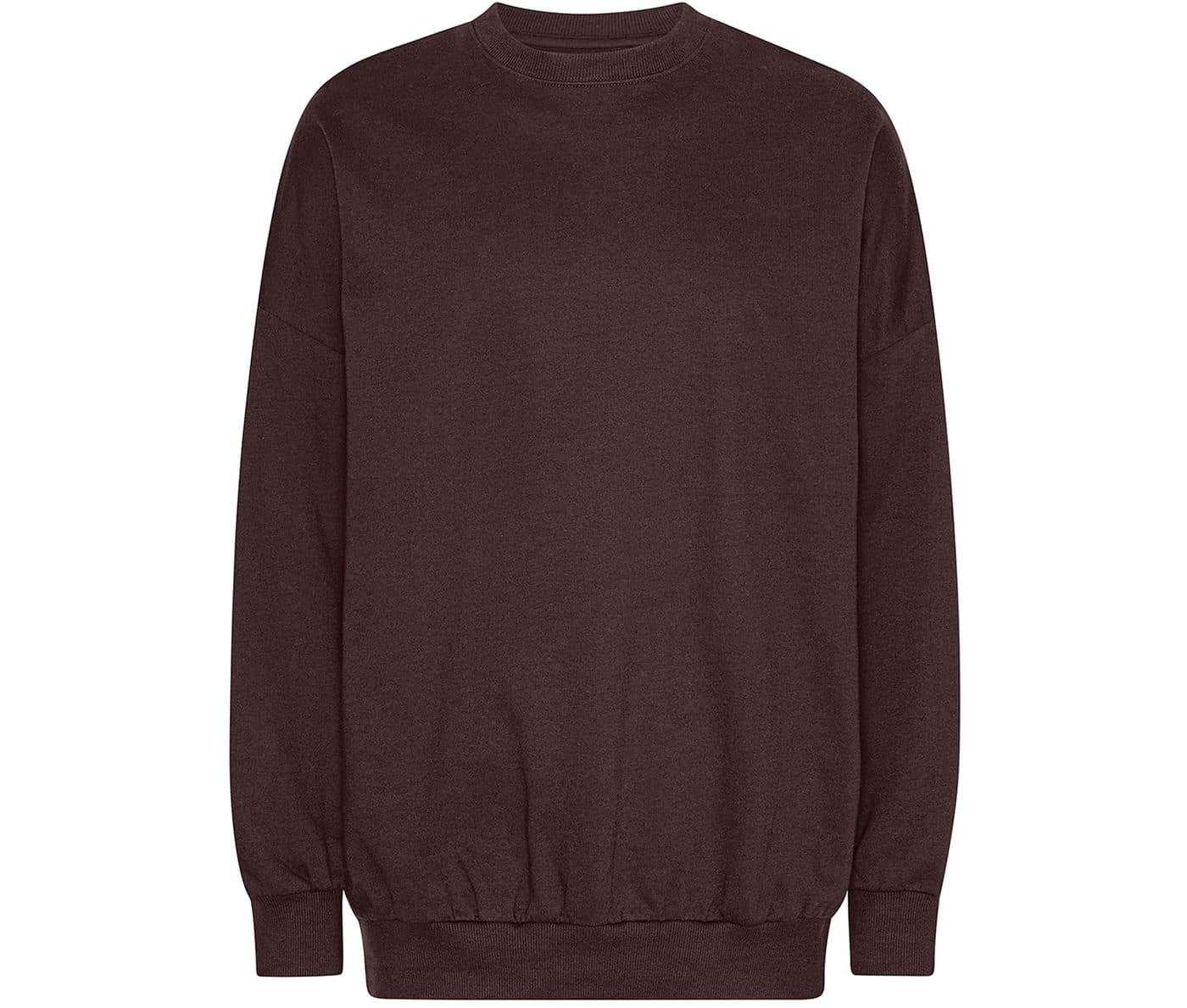 OVERSIZED SWEATSHIRT coloris Marron